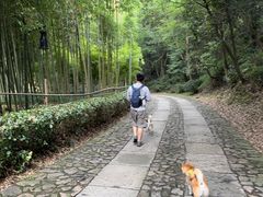 -黄公望隐居地