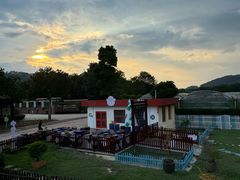 -东南花都花博园