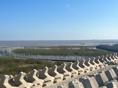 -南汇嘴观海公园