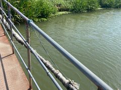 -马陆小张葡萄园农家乐