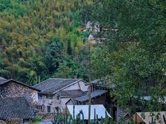 -MOJ coffee(瓯海泽雅水碓坑店)