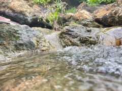 -深圳湾公园(南山区)