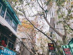 -老字号贾家肉丸糊辣汤(光明巷店)