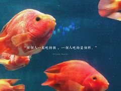 -绿色星球动物主题公园