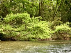 -九曲溪竹筏码头