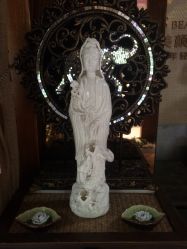 -蕾蕾美颜美容美体