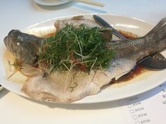 清蒸鲈鱼-至潮餐厅精致粤菜·活鲈鱼·走地鸡(珠江新城店)