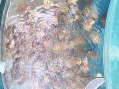 -晓伟海鲜家常菜