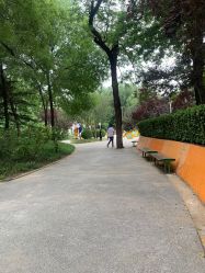 -酷酷兔少儿拓展天地