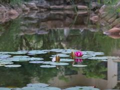 -幸福湖国际会议中心