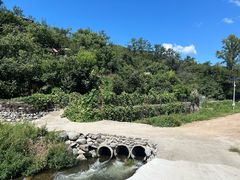 -荷塘味道(水长城店)