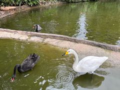-海南热带野生动植物园