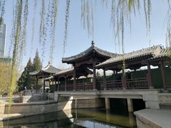 -元大都城垣遗址公园