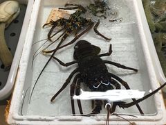 -海儀美食楼(湾仔海鲜街店)