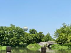 -西溪国家湿地公园