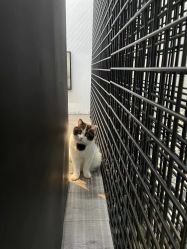 -塞巴斯汀SEBASTIAN专业美发店