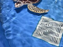 -欢乐海岸海洋奇梦馆