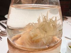 -新荣记(金融街店)