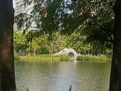 -四海公园(南山区)