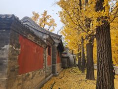 -阳台山自然风景区