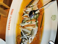 -丹江渔村(望京店)