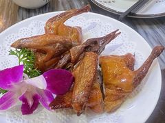 -鸽鸟轩(石岐店)