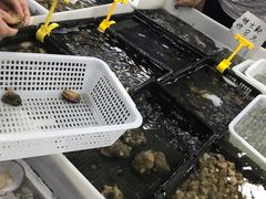 -渔人湾码头海鲜市场负二楼