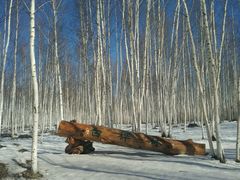 -北极村旅游风景区