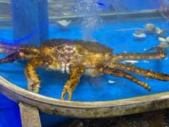 -九號院子海鲜烧烤