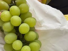 -马陆小张葡萄园农家乐