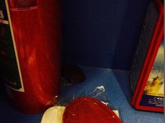 -广州迷途主题旅馆(海珠广场店)