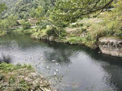 -鹿亭中村