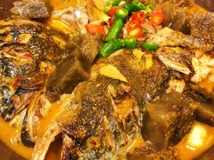 砂锅山粉鱼头-陈厨(新苑小区店)