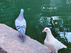 -西园寺