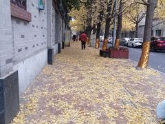 -牛王庙特色面(杏苑公寓店)