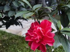 -西昌邛海宾馆