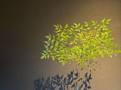 -木守西溪溪隐餐厅