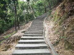 -火炉山森林公园