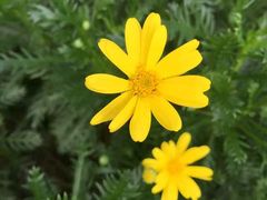 -普陀山风景名胜区-法雨禅寺