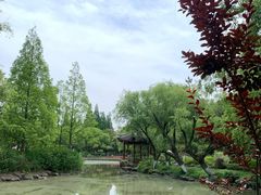 -瀛洲公园