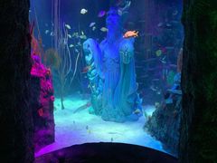 -沈阳海洋探索中心