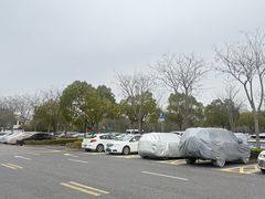 -顾村公园3号门停车场