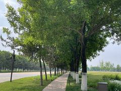 -汉长安城未央宫国家考古遗址公园