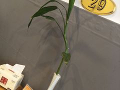 -9号小厨师(端平桥店)