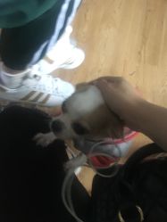 -椿树下·Tattoo纹身工作室