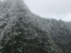 -黑色经典臭豆腐·湖南特产(潇湘文化店)