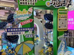 -红星美凯龙北京至尊MALL(东四环中路店)