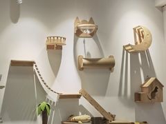 -COLOR PETS 撸猫馆·购猫·猫咖(长风大悦城店)