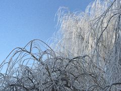 -丁香湖公园