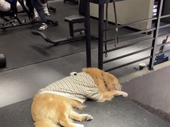-每练有胜健身工作室(EFC店)